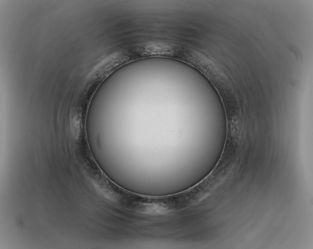 X0000115600741200911101405
