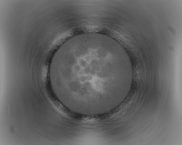 X0000115600742200911101405