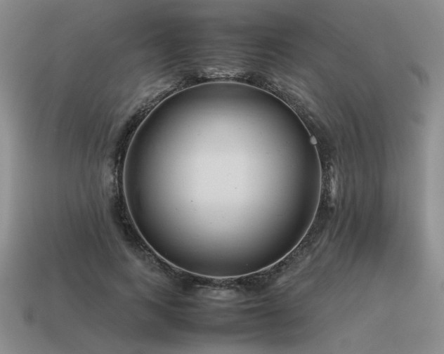 X0000115600743200911101405