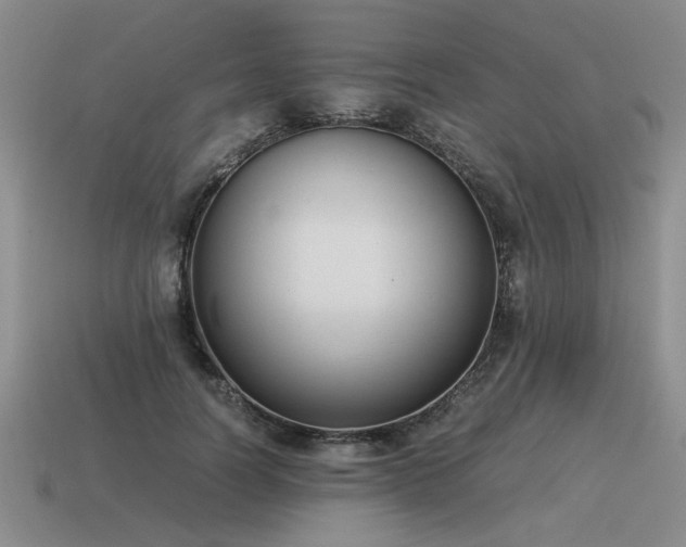 X0000115600746200911101405