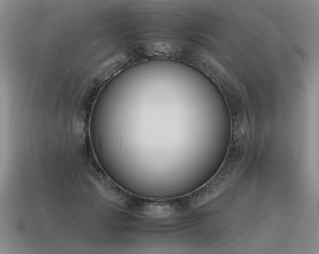 X0000115600749200911101405