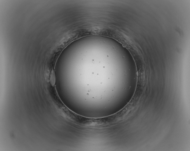 X0000115600750200911101405