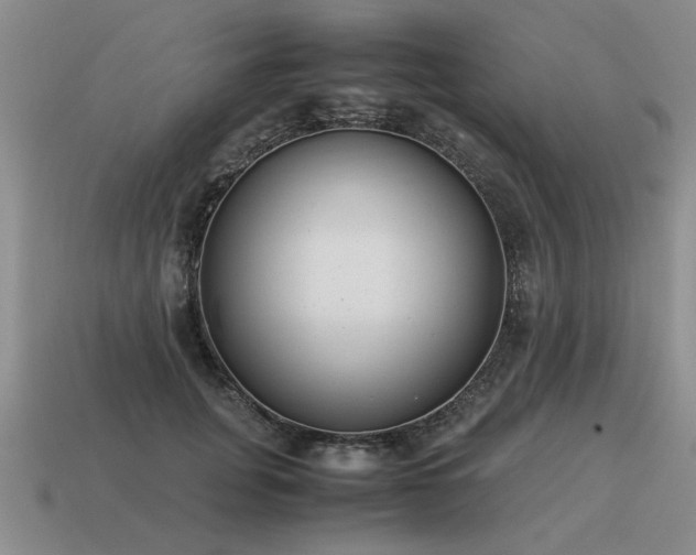 X0000115600751200911101405