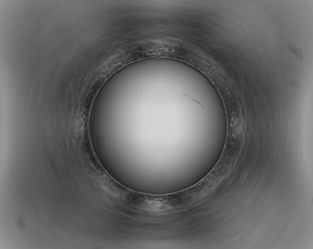 X0000115600753200911101405