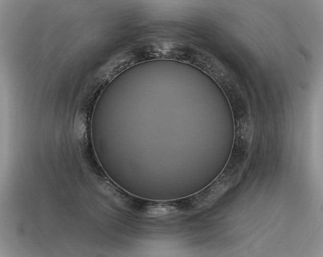 X0000115600754200911101405