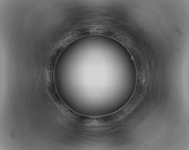 X0000115600755200911101405