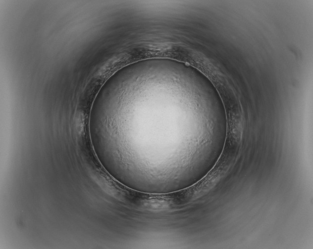 X0000115600758200911101405