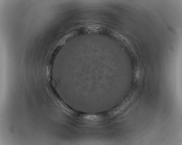 X0000115600759200911101405