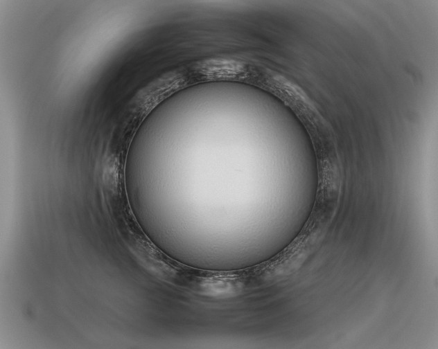 X0000115600761200911101405