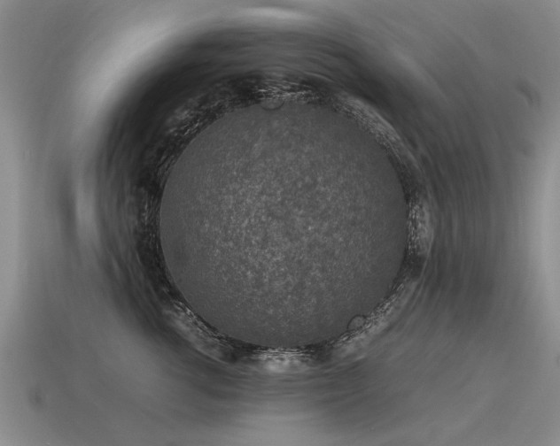 X0000115600762200911101405