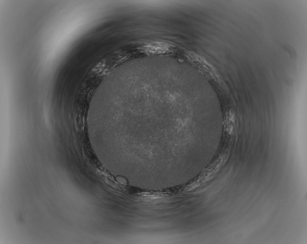 X0000115600763200911101405