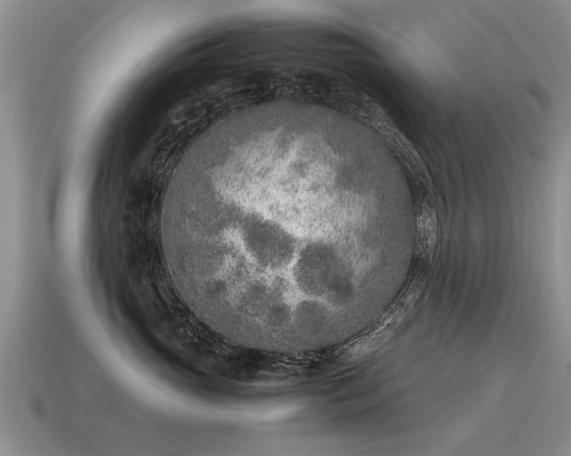 X0000115600765200911101406