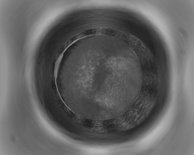 X0000115600766200911101406