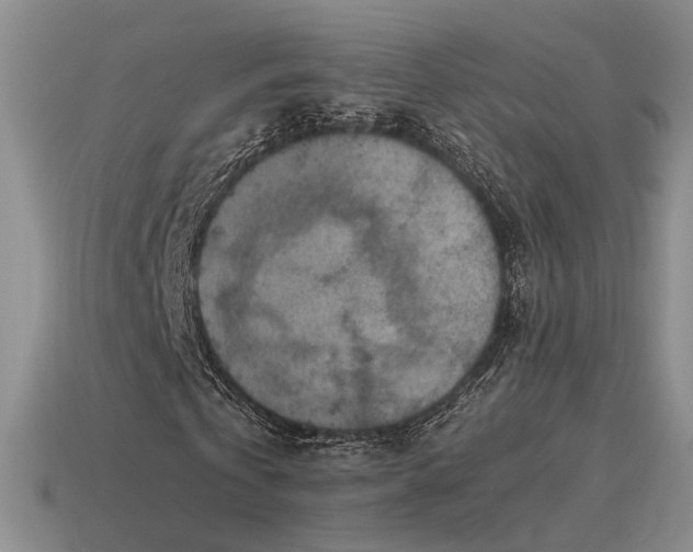 X0000115600769200911101405