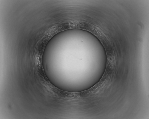 X0000115600770200911101405