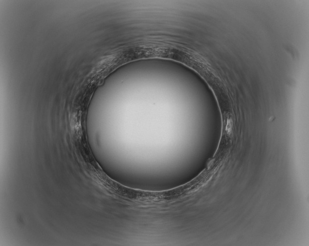 X0000115600771200911101405