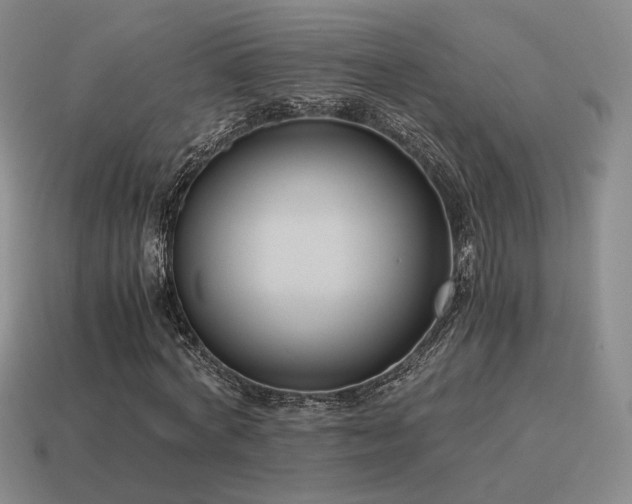 X0000115600772200911101405