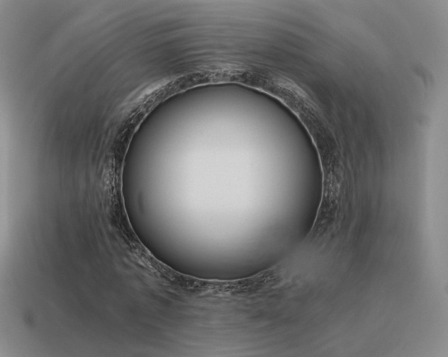 X0000115600773200911101405
