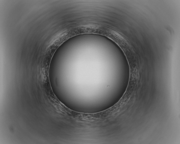 X0000115600774200911101405