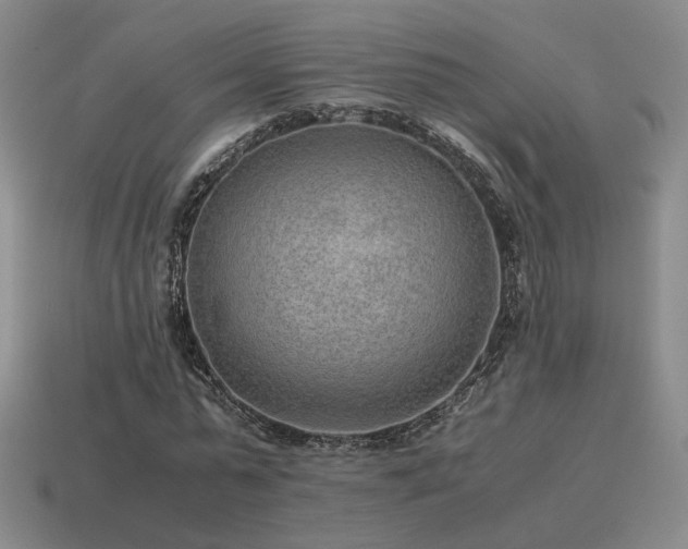 X0000115600775200911101405
