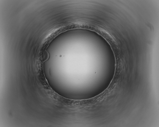 X0000115600776200911101405