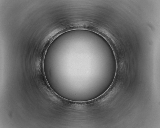 X0000115600778200911101405