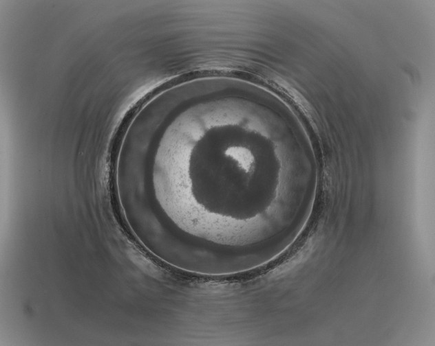 X0000115600779200911101405