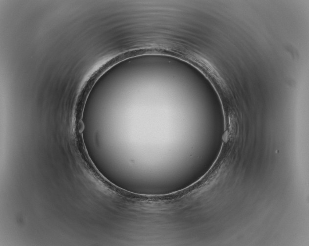 X0000115600780200911101405