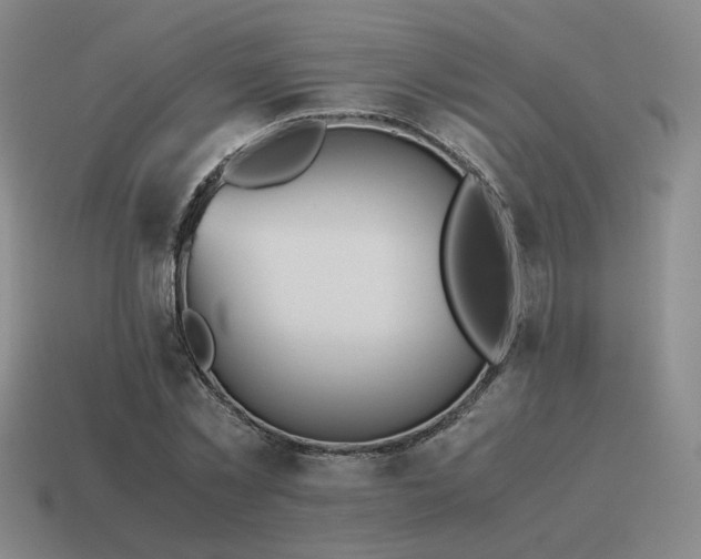 X0000115600781200911101405