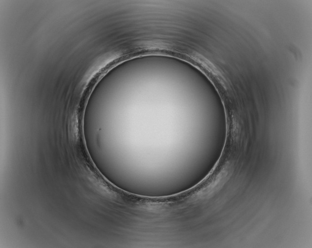 X0000115600782200911101405