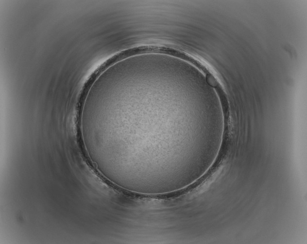 X0000115600783200911101405