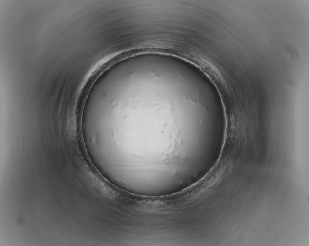 X0000115600784200911101405