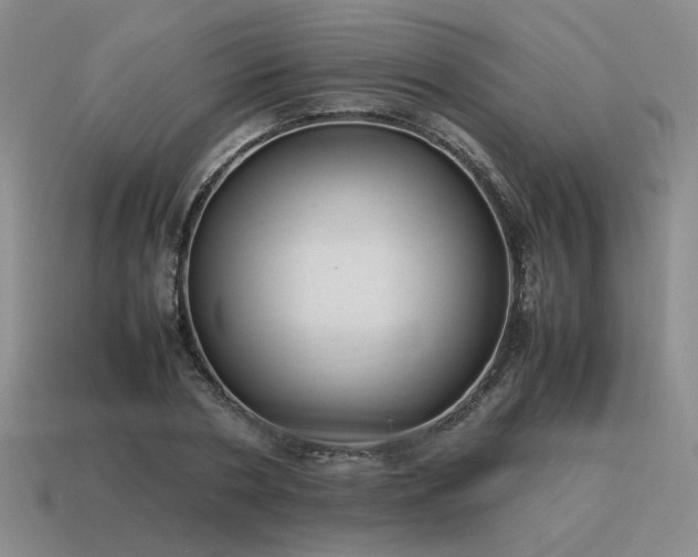 X0000115600786200911101405