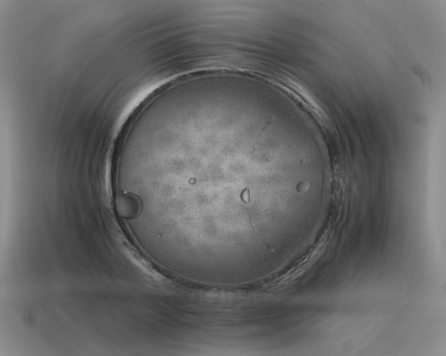 X0000115600788200911101405