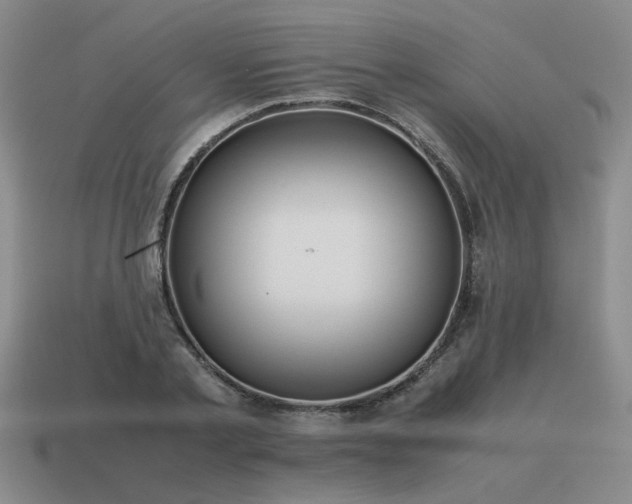 X0000115600789200911101405