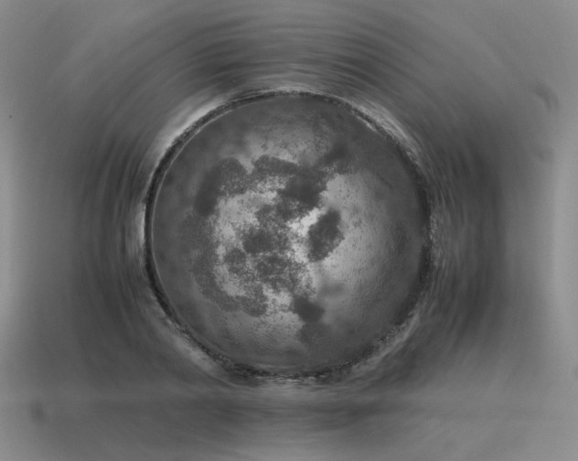 X0000115600790200911101405