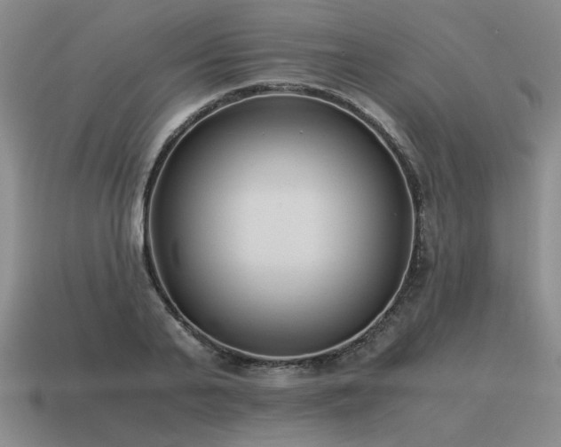 X0000115600791200911101405