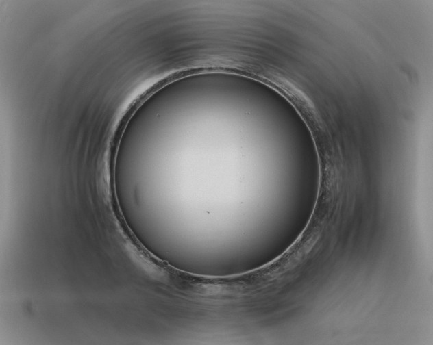 X0000115600792200911101405