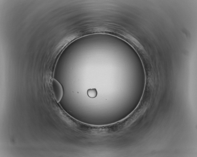 X0000115600793200911101405