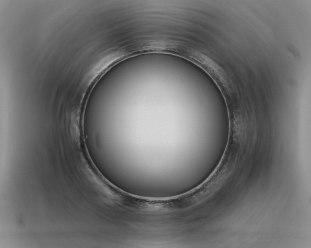 X0000115600794200911101405