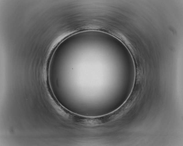 X0000115600795200911101405