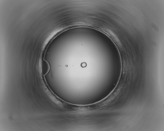 X0000115600796200911101405