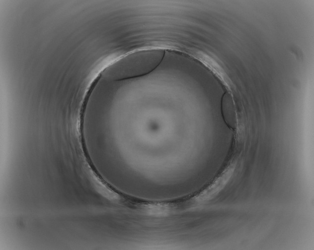 X0000115600797200911101404