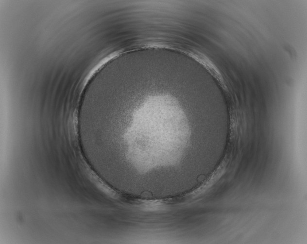 X0000115600798200911101404