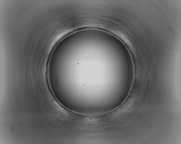 X0000115600799200911101404