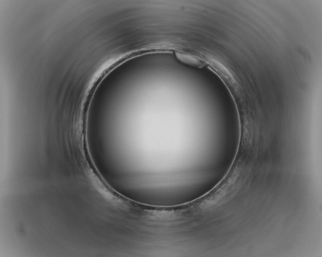 X0000115600800200911101404