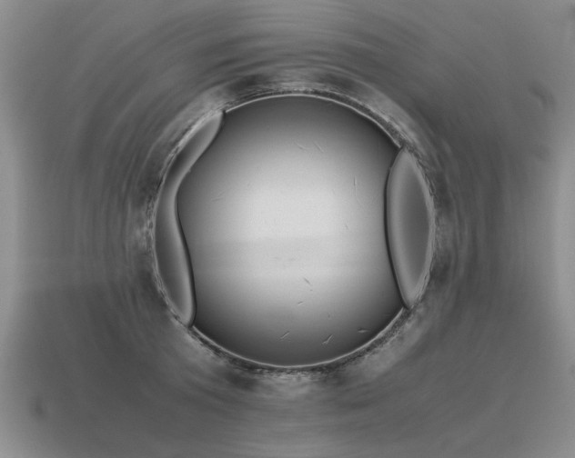 X0000115600801200911101404