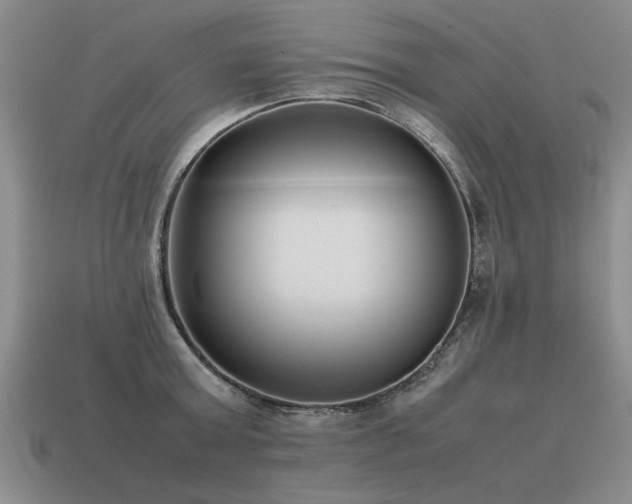 X0000115600803200911101404