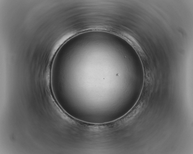 X0000115600804200911101404