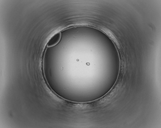 X0000115600805200911101404